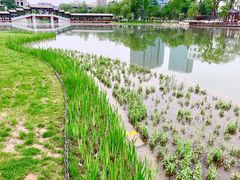 -西海子公园