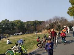 -昆山城市生态森林公园