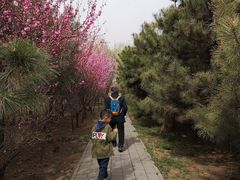 -1982农场