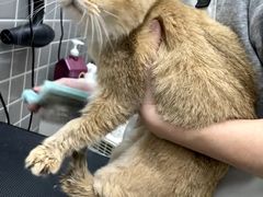 -它主义宠物(梁溪万达店)