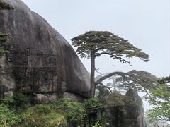 -黄山白云宾馆
