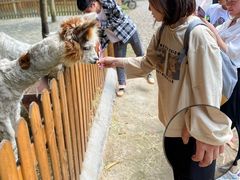 -龙湾潭国家森林公园