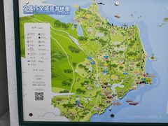 -海南铜鼓岭景区