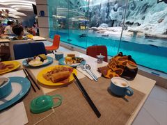 -帝企鹅自助餐厅•儿童岛•真企鹅(长隆企鹅酒店)