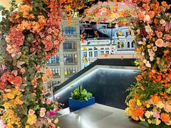 -LE SHARE洛笙·花园西餐(北京路步行街店)