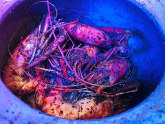 -钳真多钓虾馆·小龙虾海鲜烧烤(九六广场店)