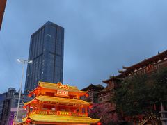 -越秀西湖花市(广州城市广场花卉店)
