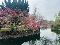 -无锡蠡湖国家湿地公园-蠡园