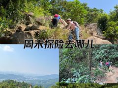 -天鹿湖森林公园