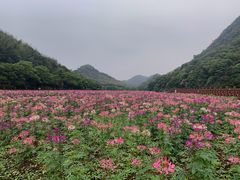-广州市石门国家森林公园