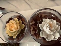 -慈蕊美容养生·专业经络调理