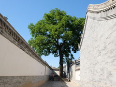 -保定直隶总督署博物馆