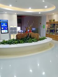 -润泽瑞尼丝医疗美容医院