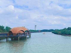 -东寨港红树林旅游区