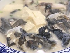 -全乐鱼馆·淳牌有机鱼直营店