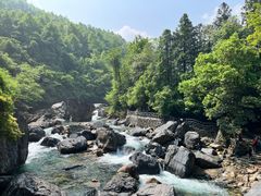 -石台牯牛降景区