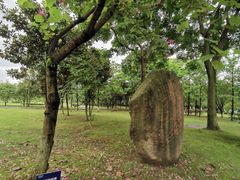-西南政法大学(渝北校区)