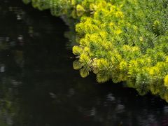 -成都市活水公园