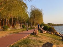 -丁香湖公园
