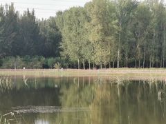 -东郊湿地公园