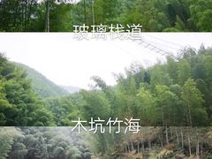 -石台牯牛降景区