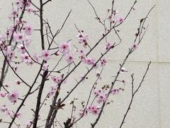 -外高桥保税区南(地铁站)