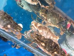 -宾朋海鲜美食特色餐厅·纯手工鲅鱼水饺(兴海路店)