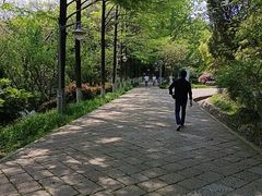 -峙山公园