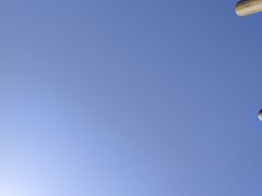 -盐城丹顶鹤湿地生态旅游区