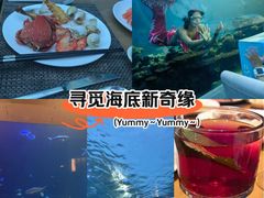 -海棠湾洲际-涛·海底餐厅·美人鱼·自助餐·海底隧道
