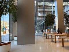-Apple零售店(苏州店)