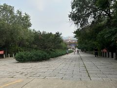 -府君山公园