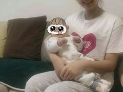 -爱月宝月嫂·育儿嫂(哈尔滨总店)