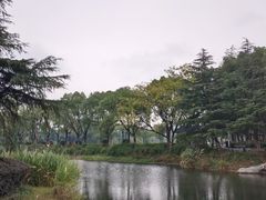 -金银湖国家城市湿地公园