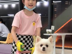 -怪兽屋·羊驼·猫咖·狗咖(俊华广场店)