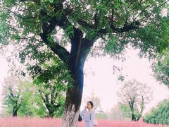 -汉长安城未央宫国家考古遗址公园