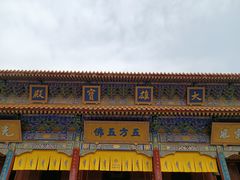 -西安大兴善寺