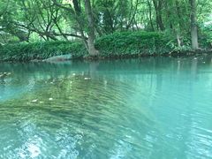 -楠溪江风景名胜区