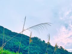 -缥缈峰景区