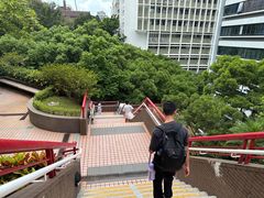 -香港大学