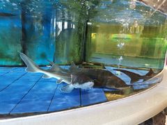 -友鹏海鲜(新宜白大道店)