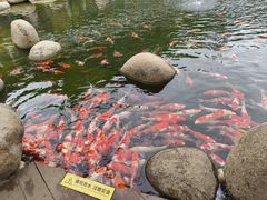 -宁波野生动物园