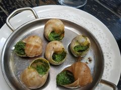 -金蜗牛