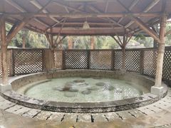 -雅安楠水阁温泉酒店