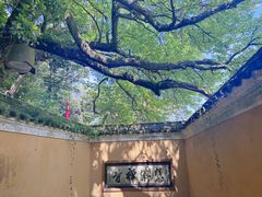 -普陀山慧济禅寺