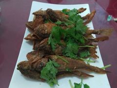 -烁佳海鲜大馅饺子