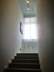 -三只熊皮肤管理中心旗舰店