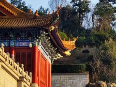 -龙华寺