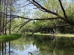 -上海共青森林公园