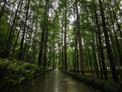 -五泄景区